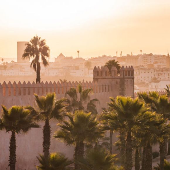 Palm trees in front of a wall in Rabat, Morocco, linking to www.bahighlife.com.