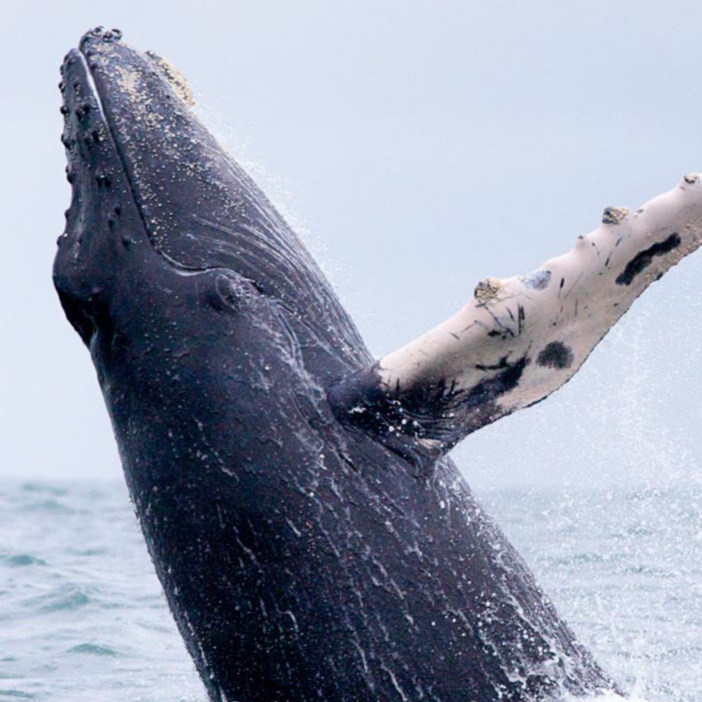 Top ten things to do in Costa Rica - British Airways