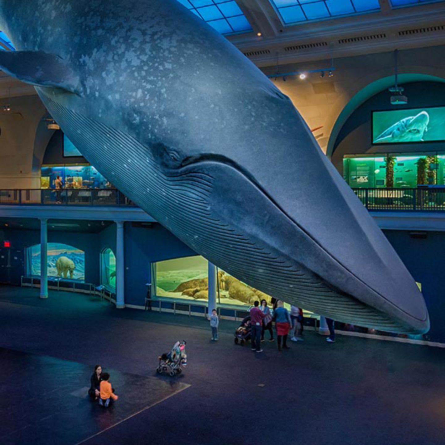Things to do in New York - British Airways