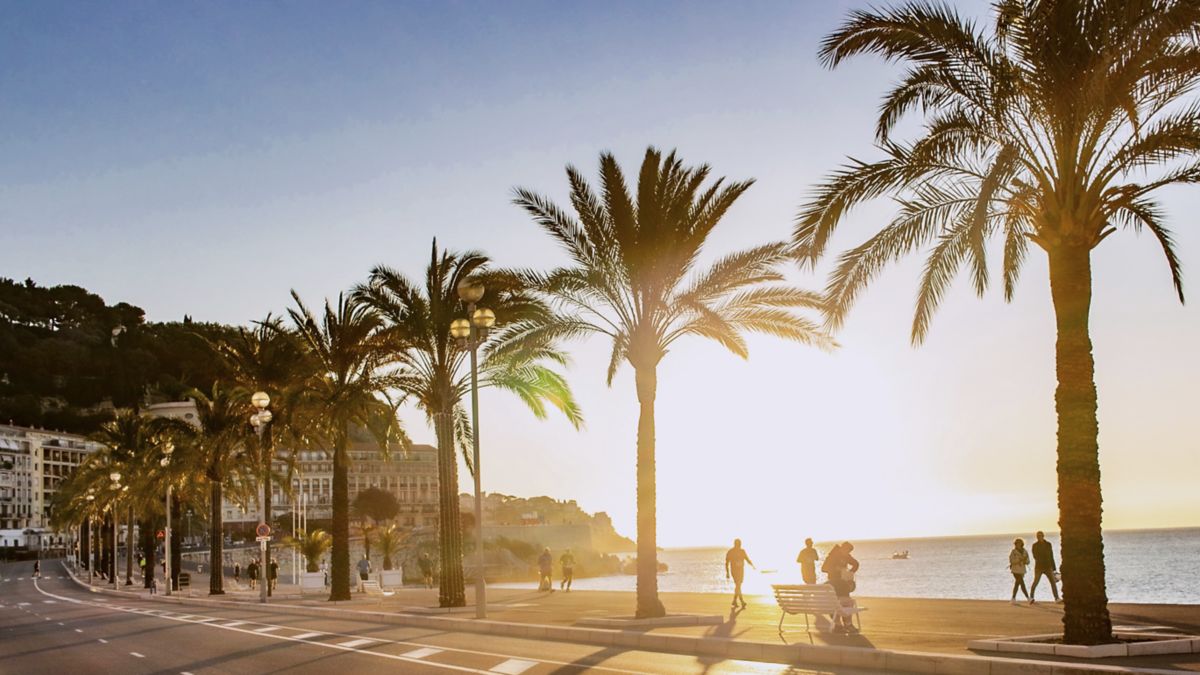 The seafront and promenade, with palm trees and people, the sun out in Nice.